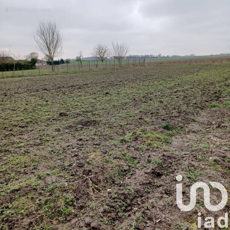 Photo 1 - Terrain à GRAINCOURT-LES-HAVRINCOURT