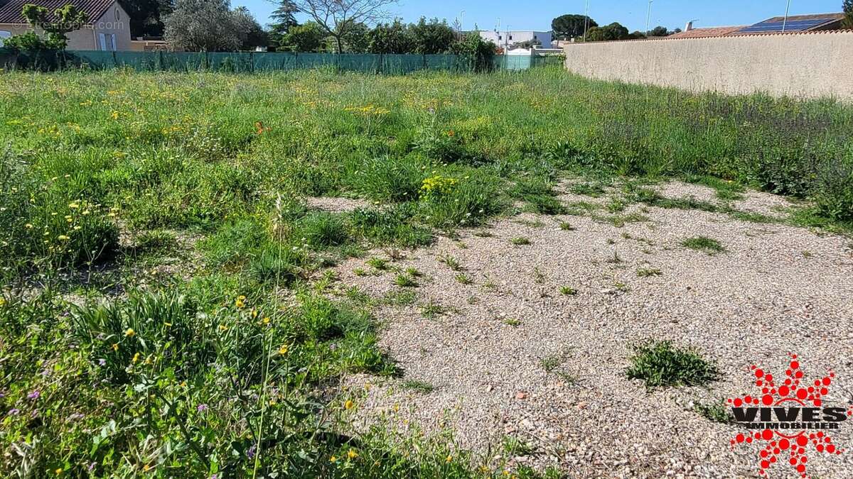 Terrain à LIGNAN-SUR-ORB