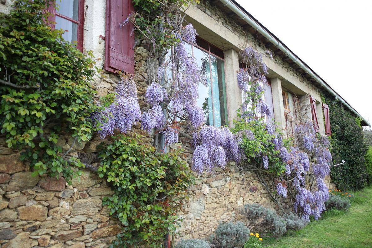 Maison à SAUVETERRE-DE-ROUERGUE