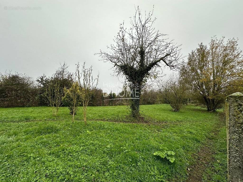 Terrain à MONTCEAUX-LES-PROVINS