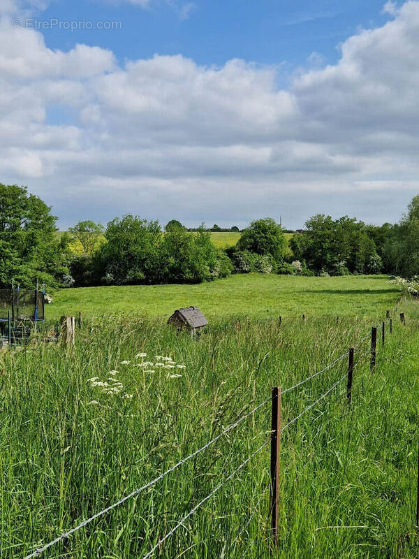 Terrain à LES AYVELLES