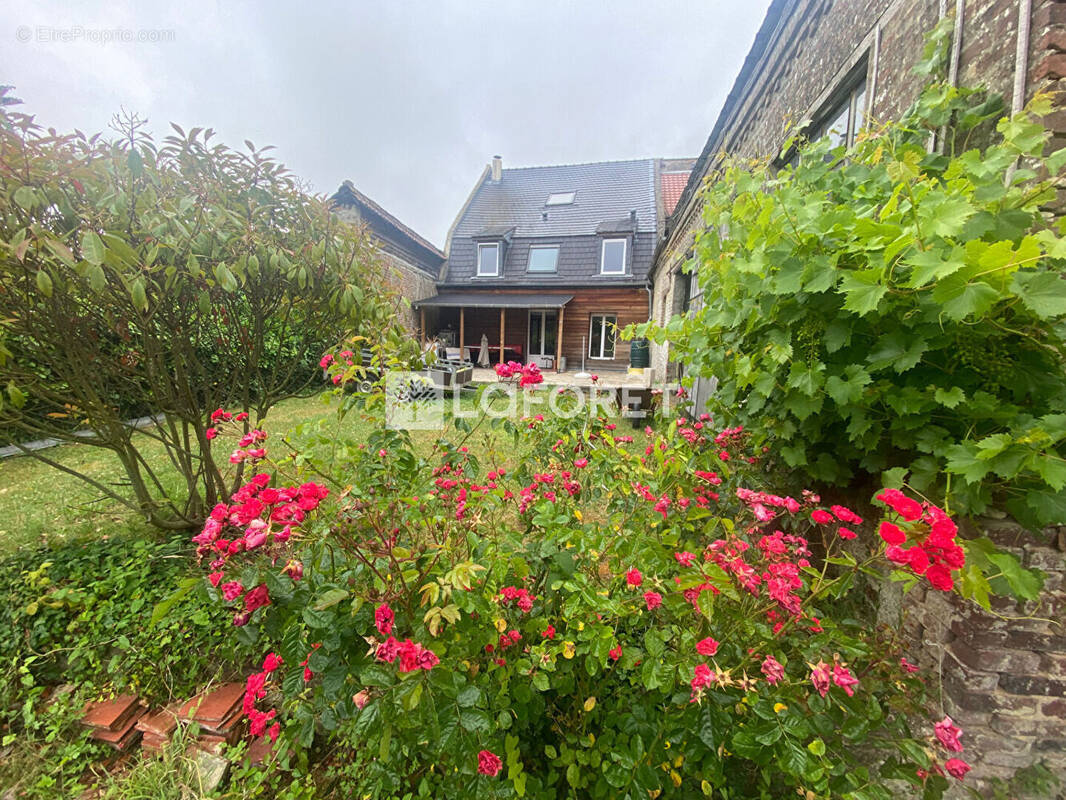 Maison à HESDIN