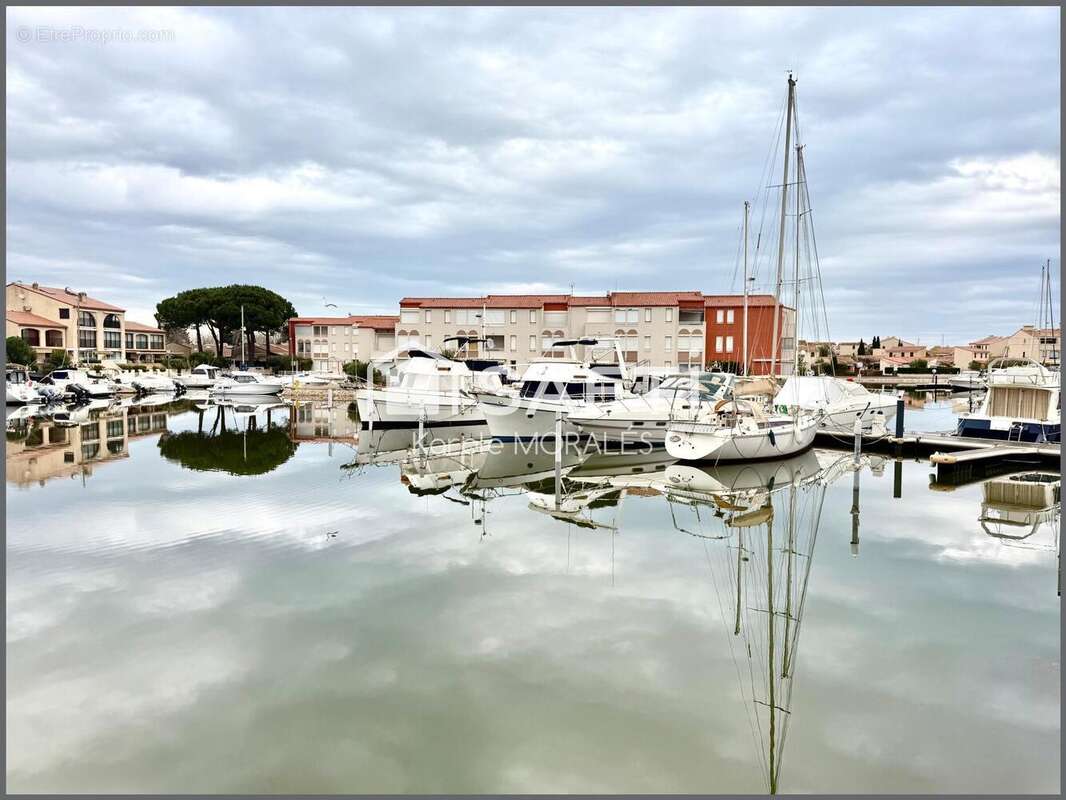 Photo 2 - Commerce à SAINT-CYPRIEN