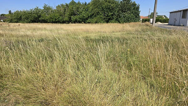 Terrain à CRAVANT