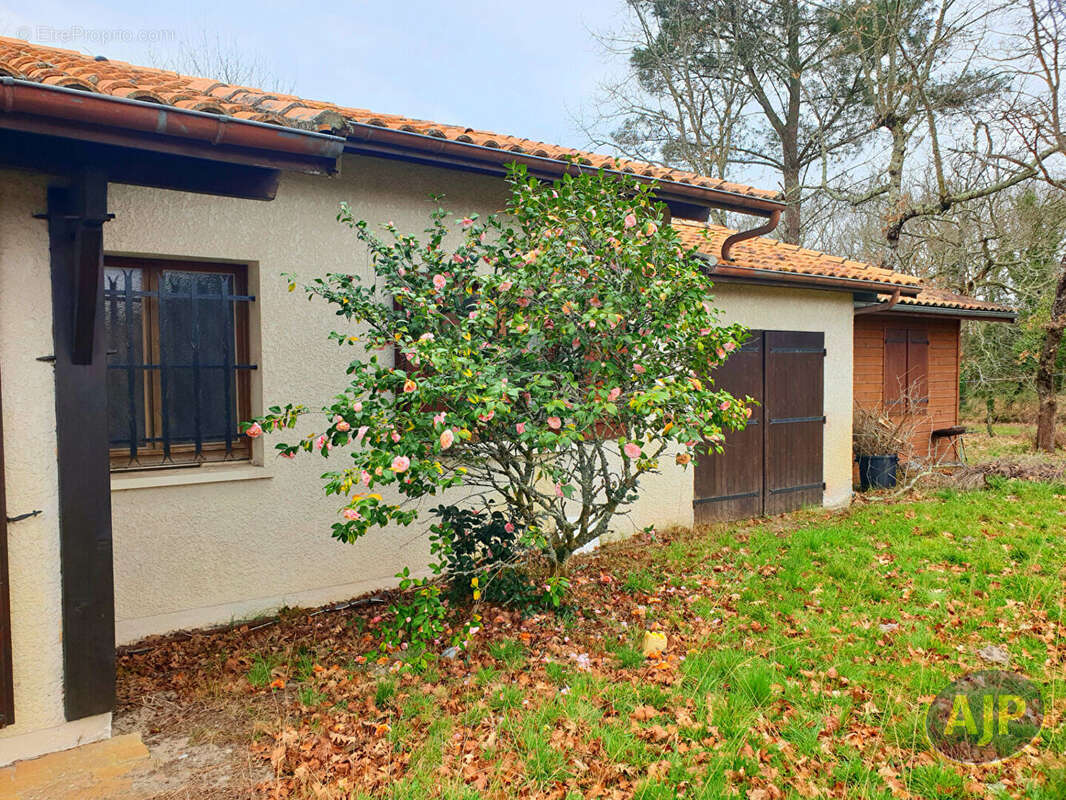 Maison à LANTON