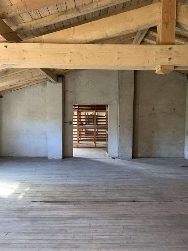 Appartement à ROQUECOURBE