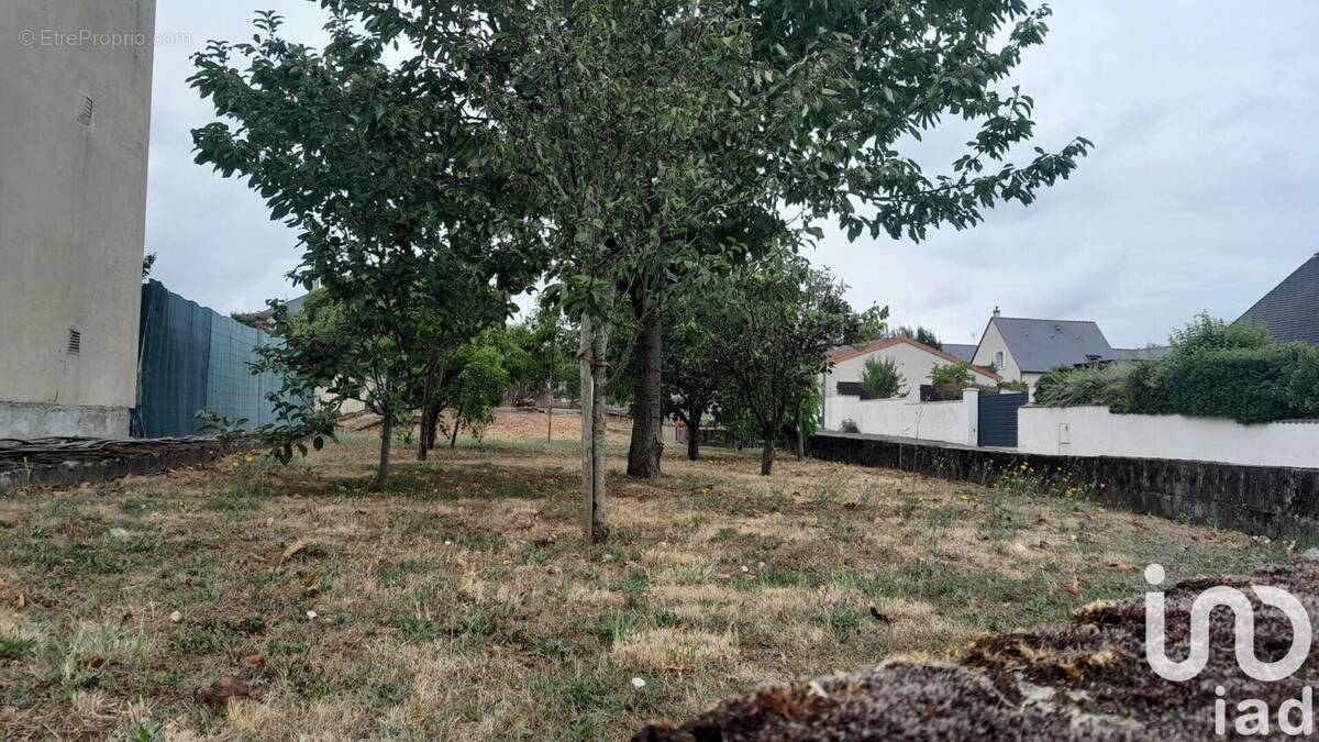 Photo 1 - Terrain à MONTREUIL-BELLAY