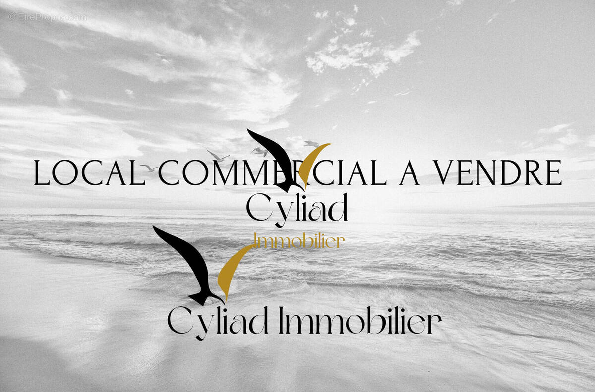Commerce à SAINT-MALO