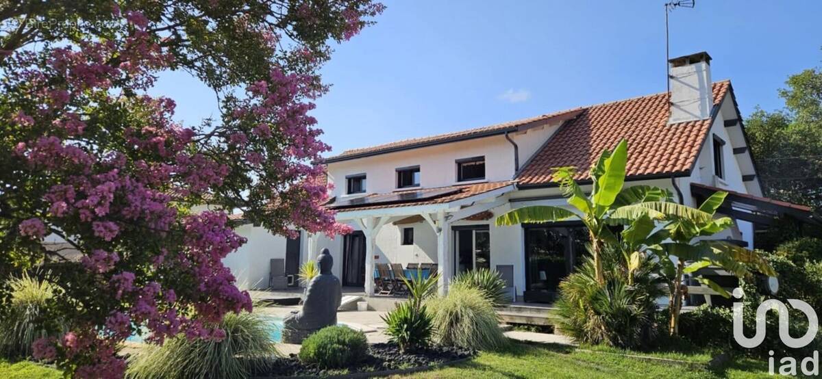 Photo 1 - Maison à LA TESTE-DE-BUCH