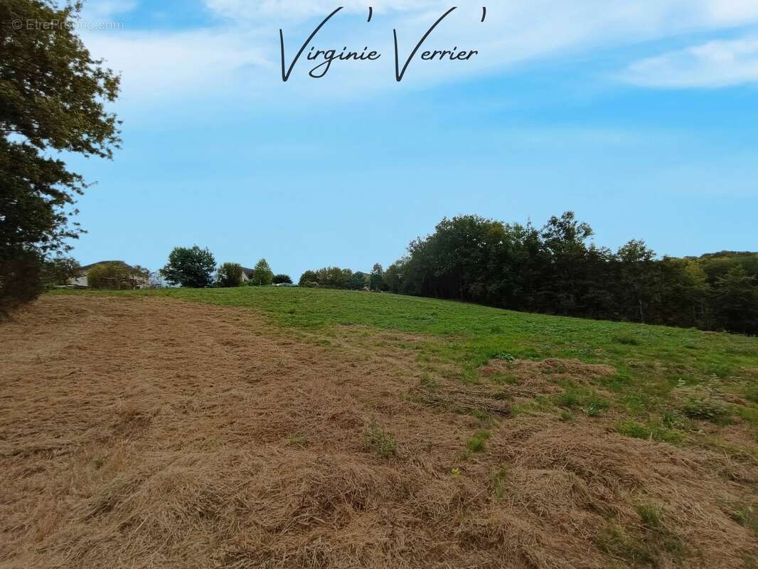 Terrain à SAINT-CYPRIEN