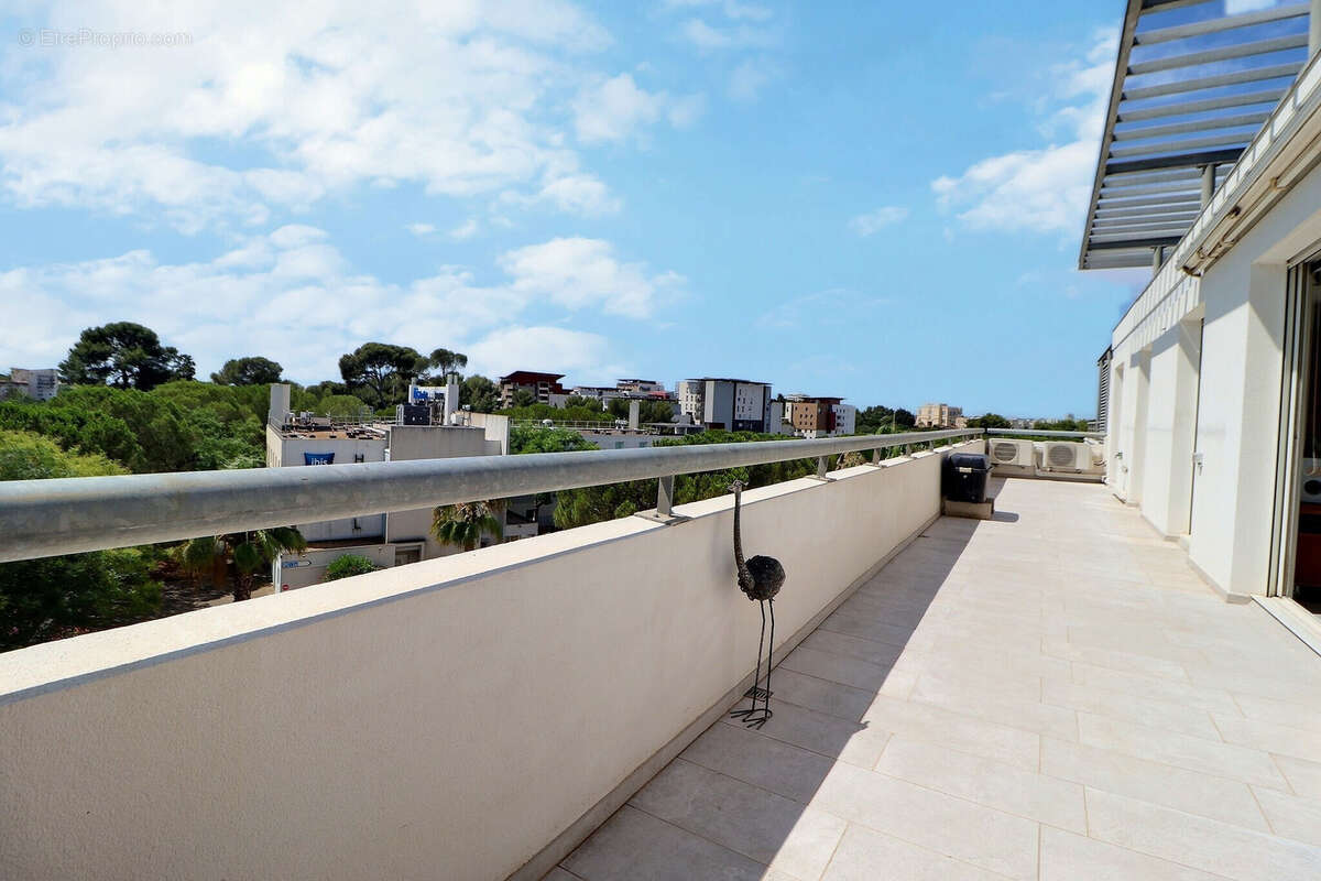 Appartement à MONTPELLIER