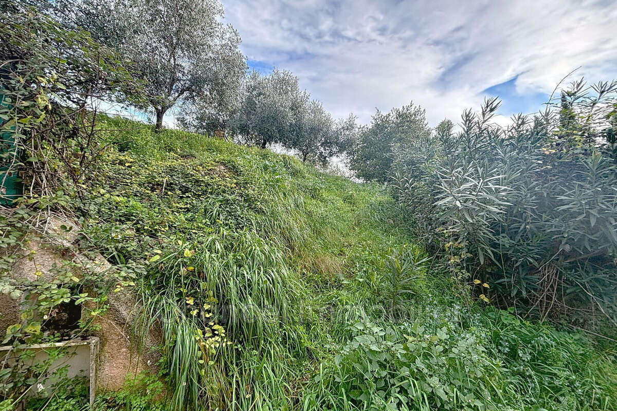Terrain à MOUGINS