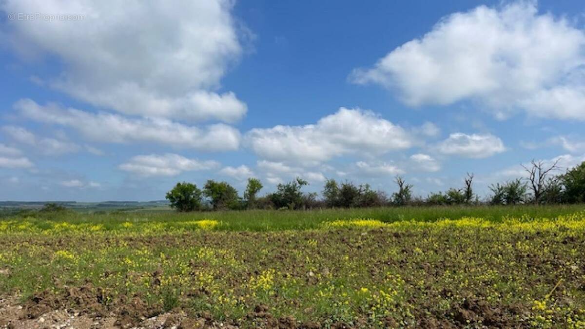 Terrain à HARAUCOURT