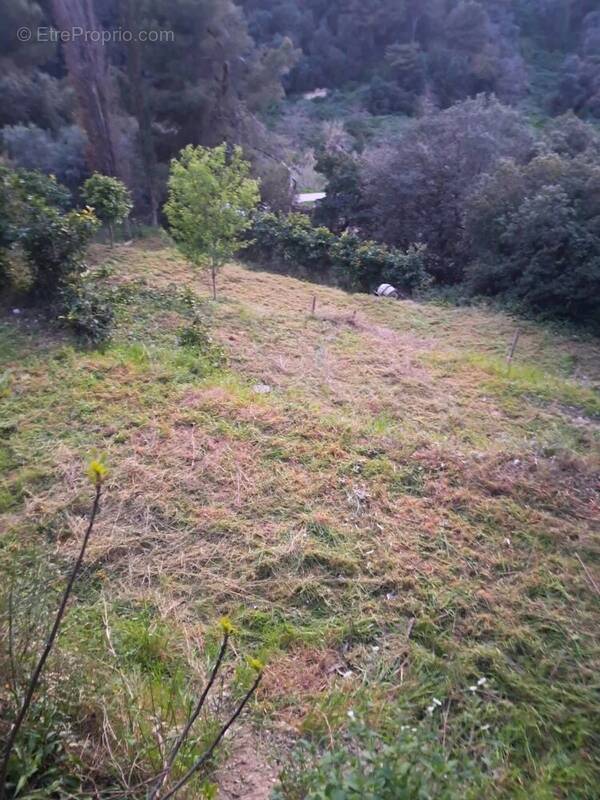 Terrain à NICE