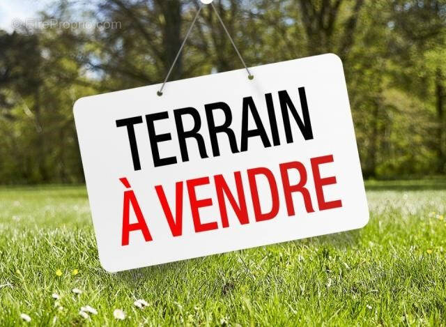 Terrain à TAUTAVEL