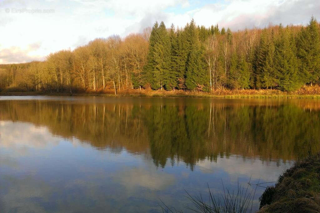 Terrain à MULHOUSE