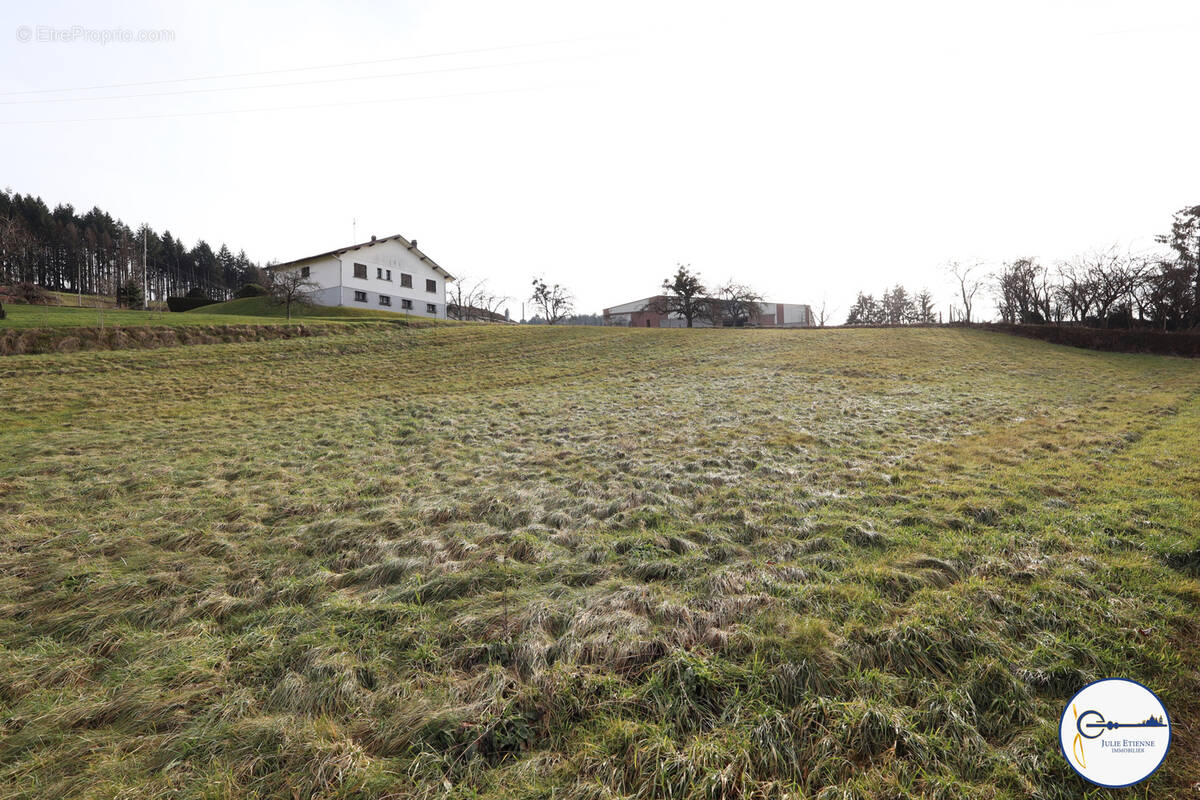Terrain à XERTIGNY