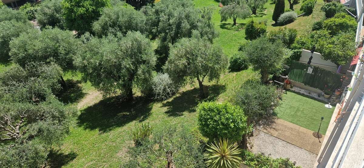 Appartement à GRASSE
