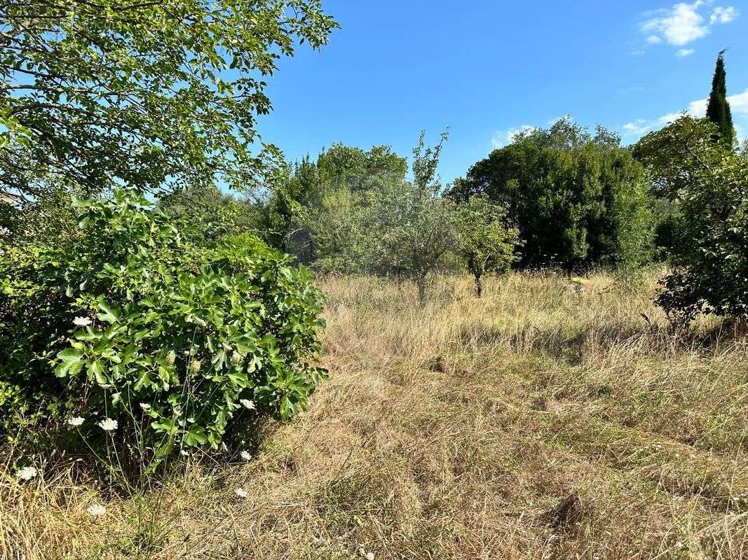 Terrain à SAUVE
