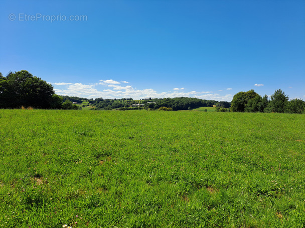 Terrain à MALEMORT-SUR-CORREZE