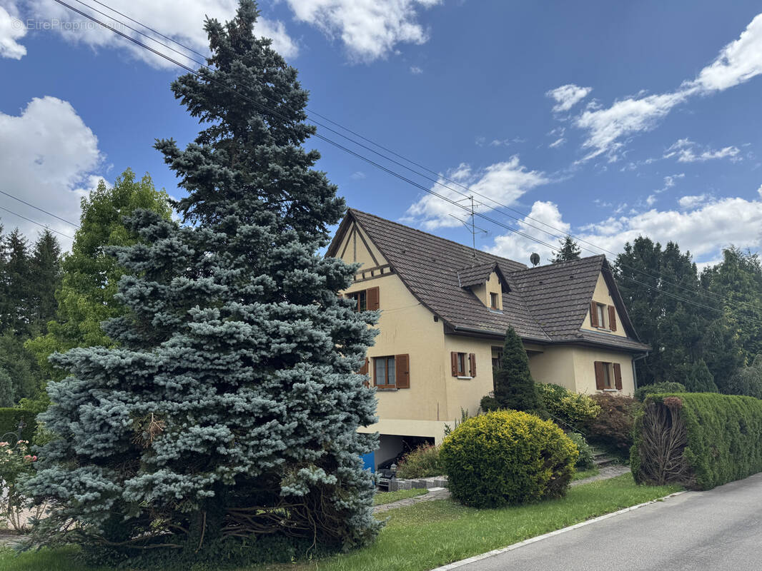 Maison à LEYMEN