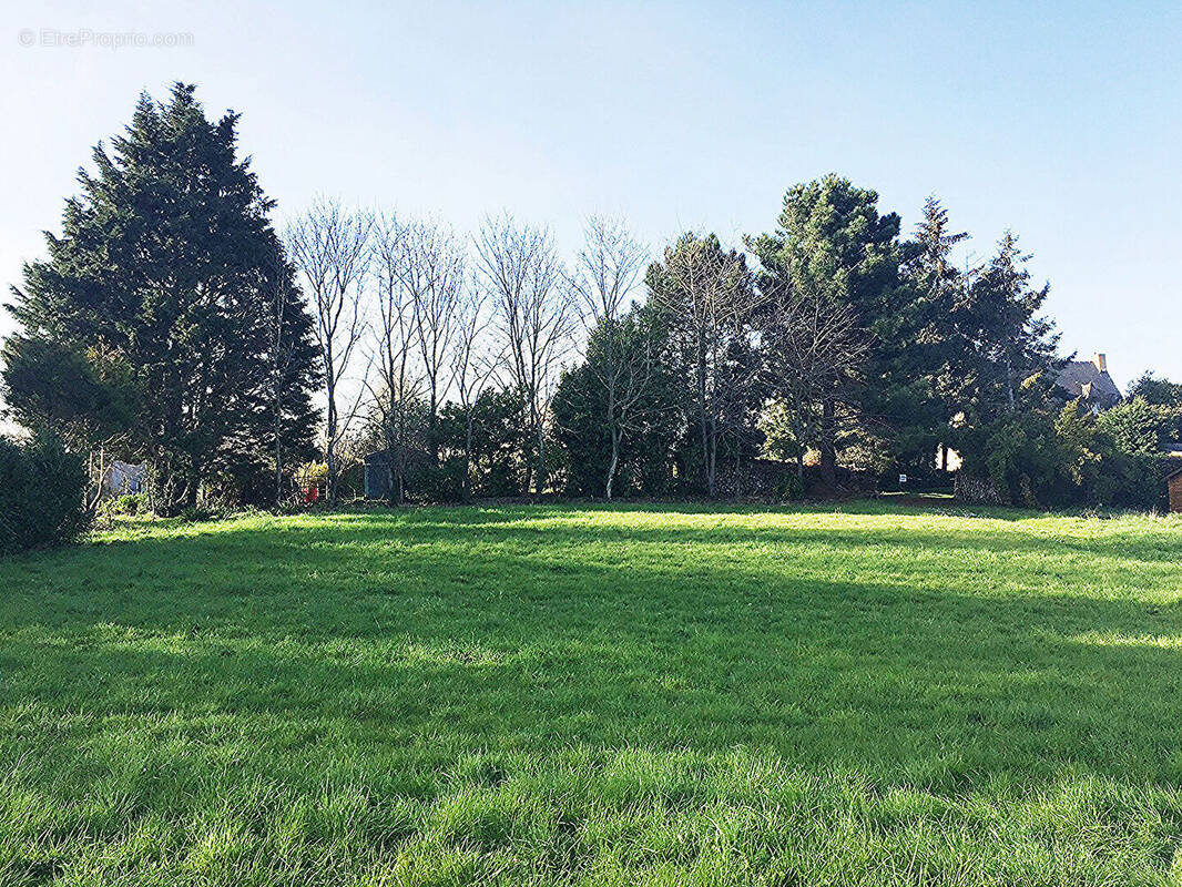 Terrain à PLERIN