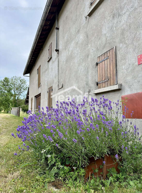 Maison à ARCONSAT