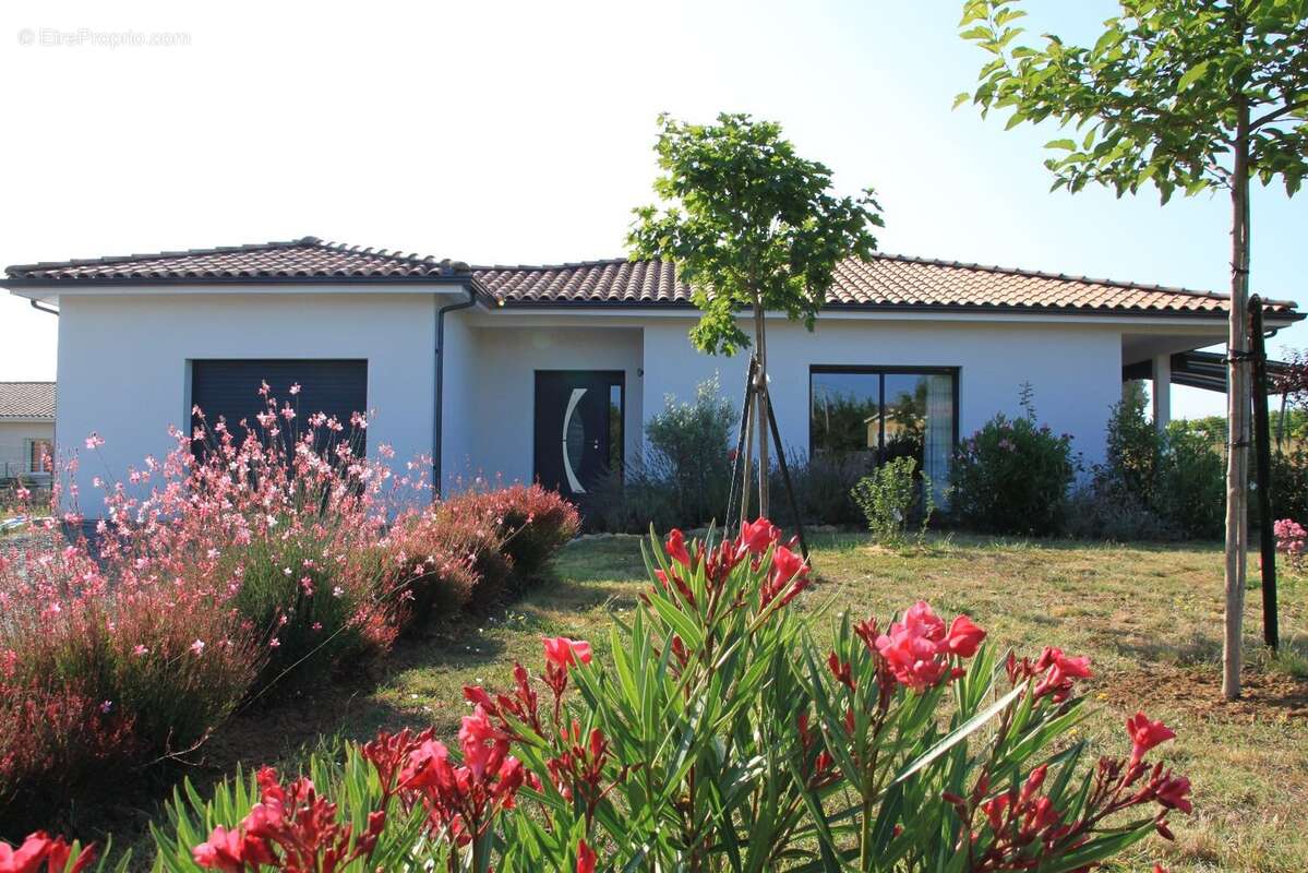 Maison à SAINT-EMILION