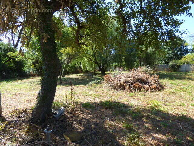 Terrain à LORRIS
