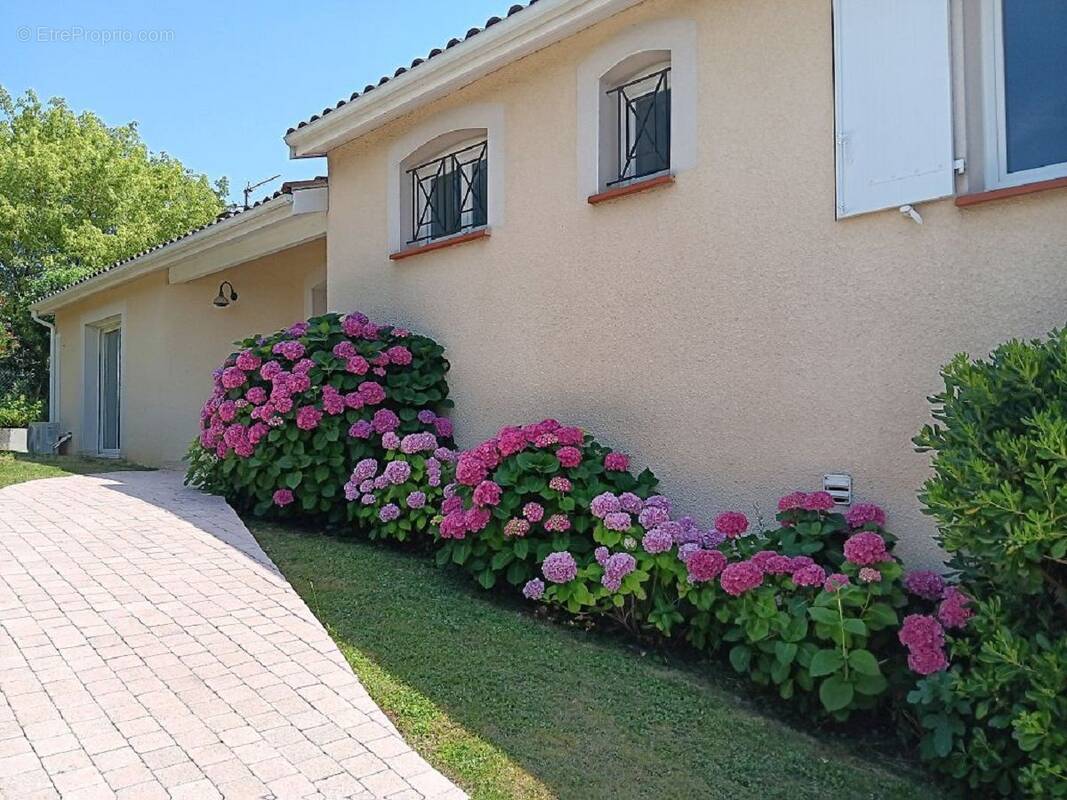 Maison à QUINT-FONSEGRIVES