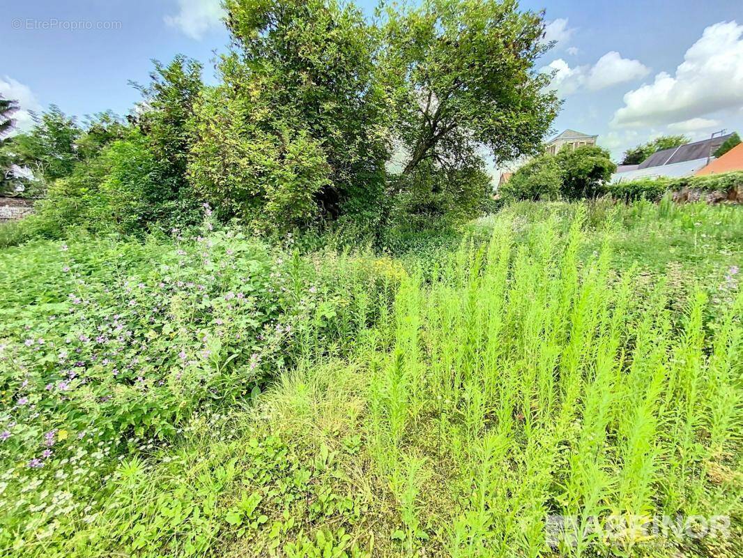 Terrain à ORCHIES