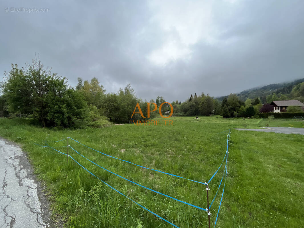 Terrain à ARACHES-LA-FRASSE