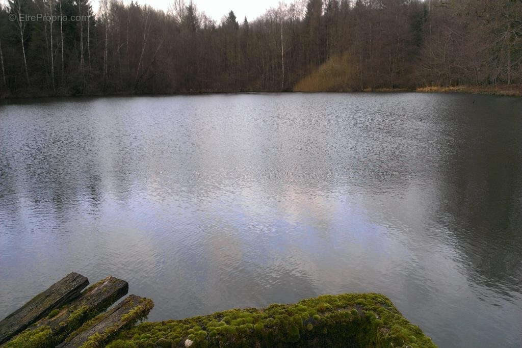 Terrain à MULHOUSE