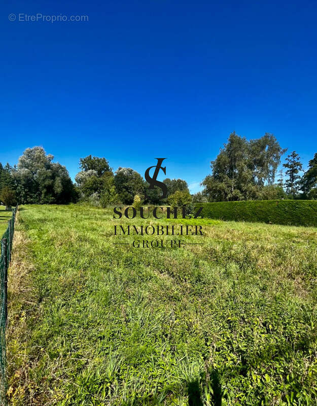 Terrain à SOUCHEZ