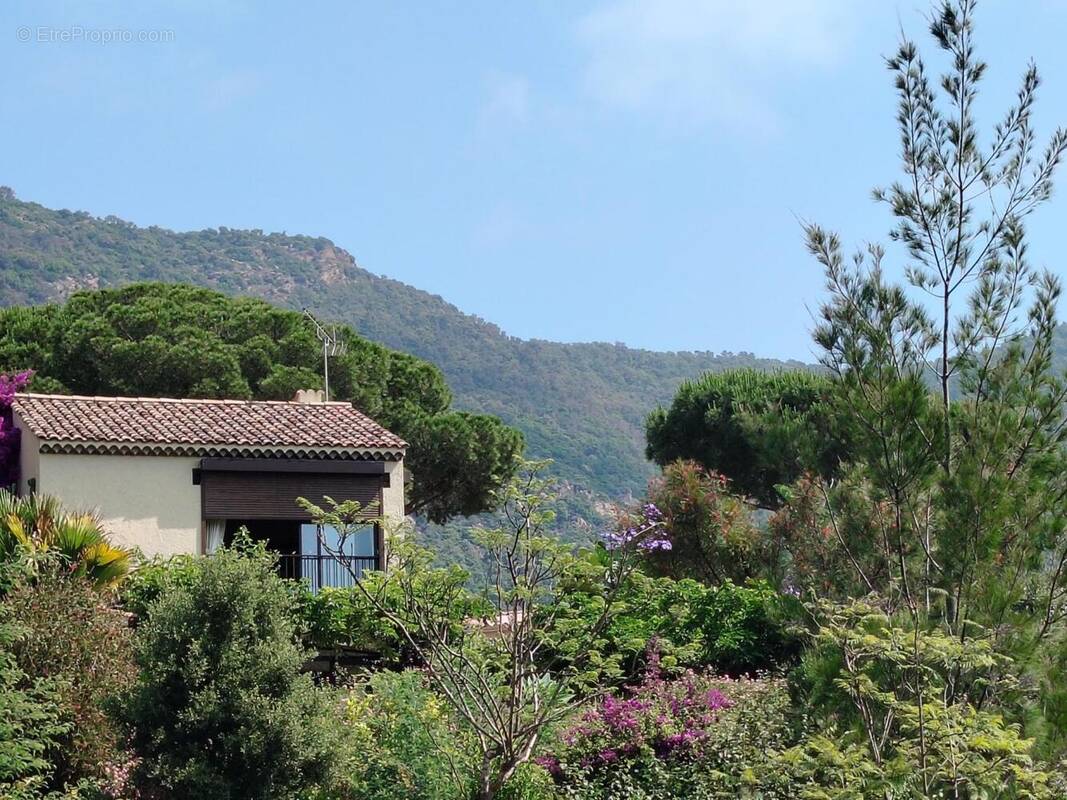 Photo 1 - Maison à LE LAVANDOU