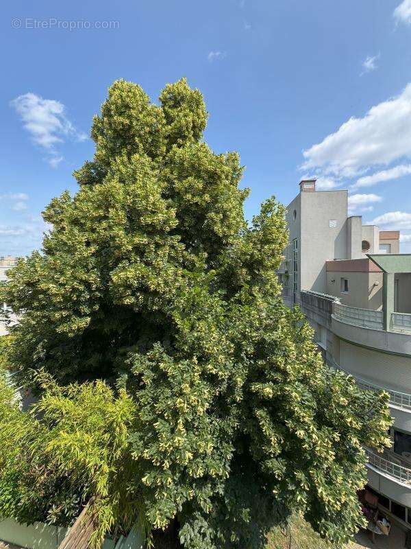 Appartement à CLAMART