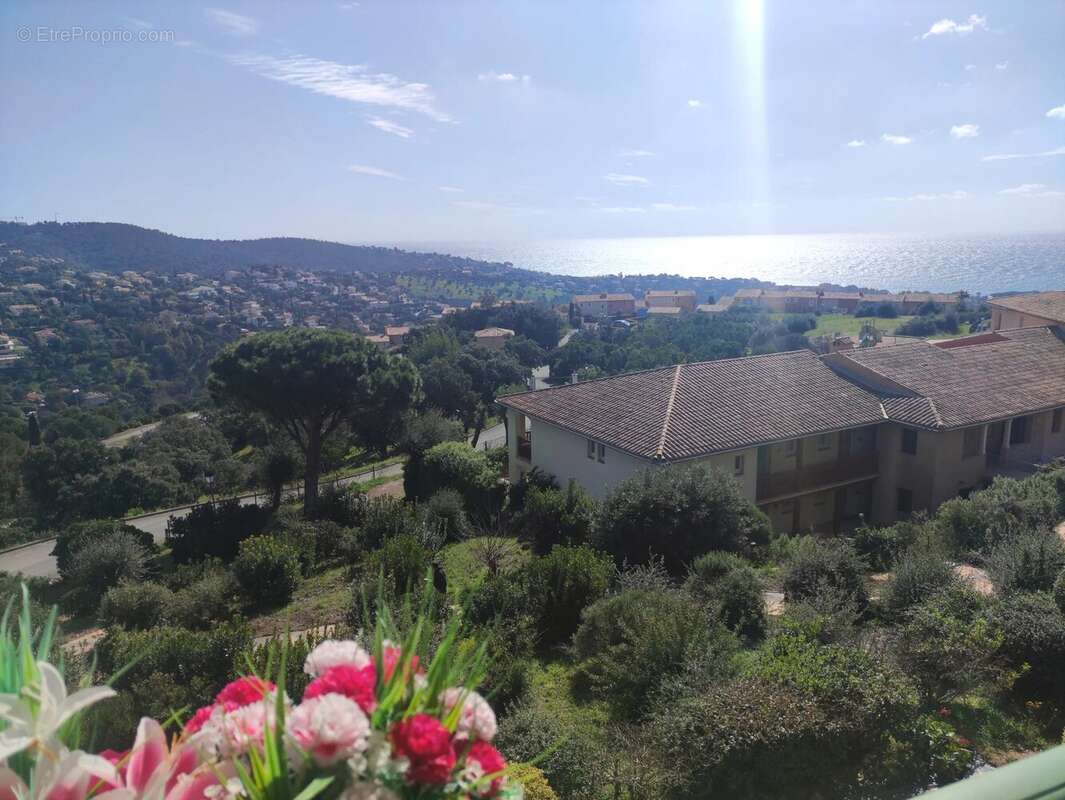Appartement à ROQUEBRUNE-SUR-ARGENS