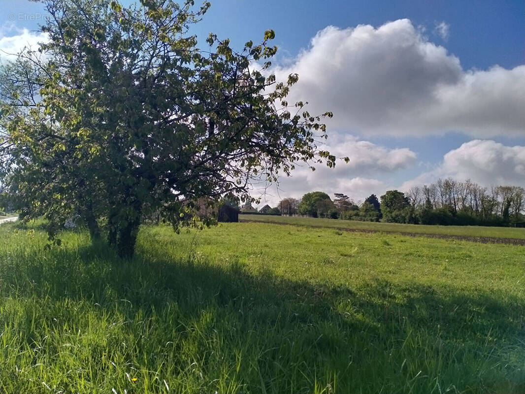 Terrain à SAINT-MARCEL