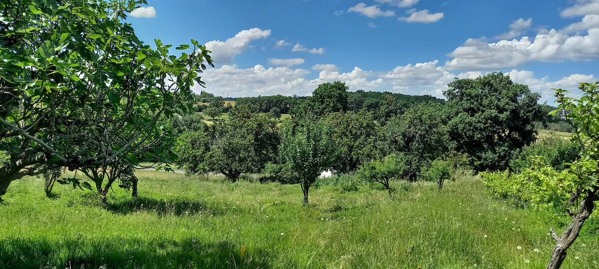 Terrain à RIEUMES