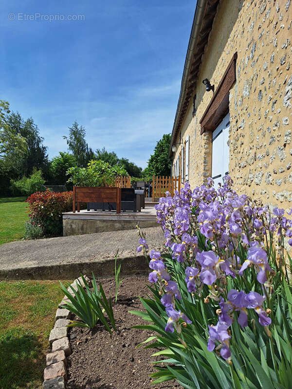 Maison à MORTAGNE-AU-PERCHE