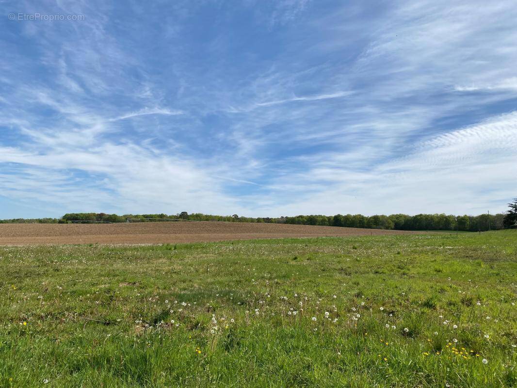 Terrain à SAINT-AGNE