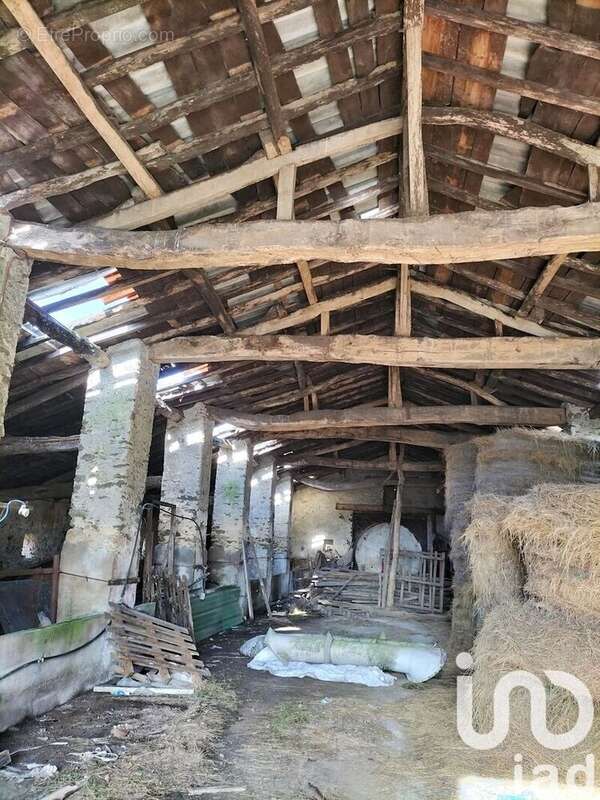 Photo 9 - Maison à CHALLANS