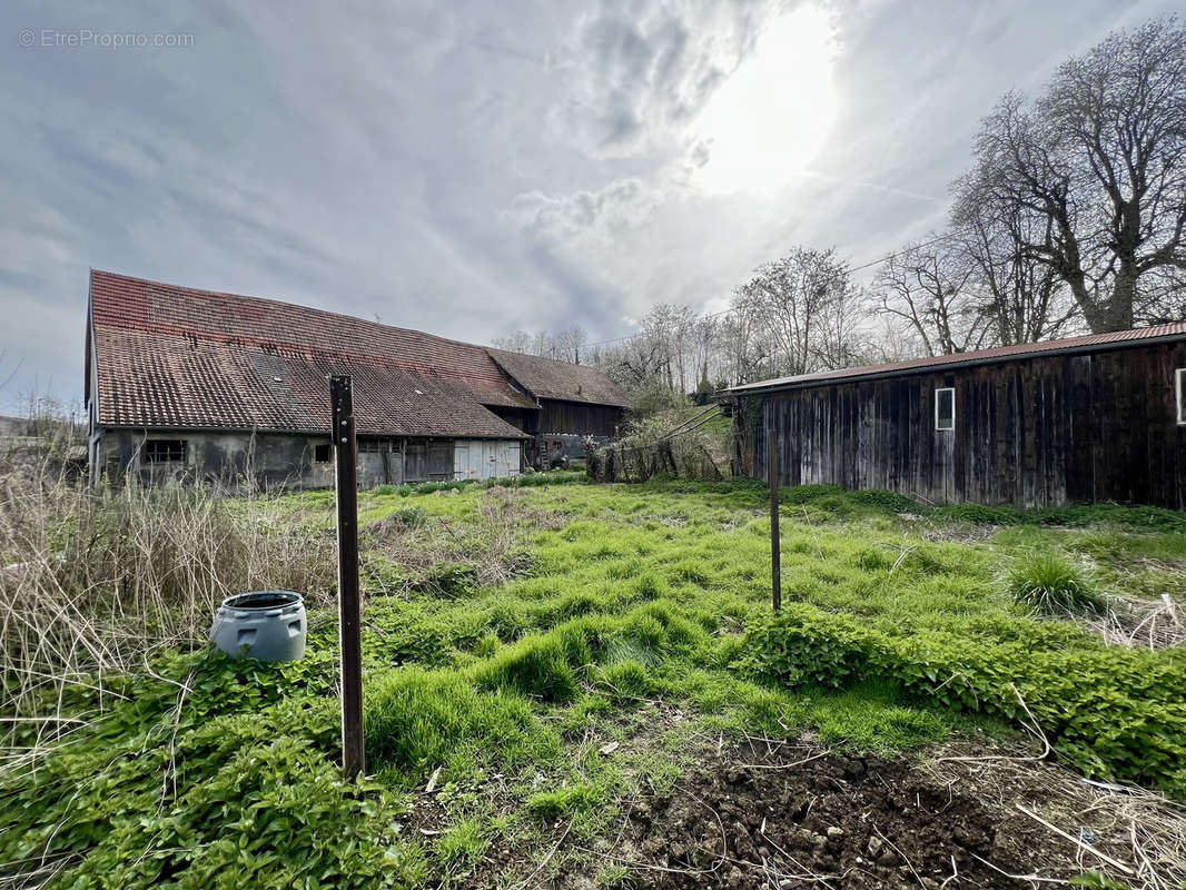 Maison à TAGOLSHEIM