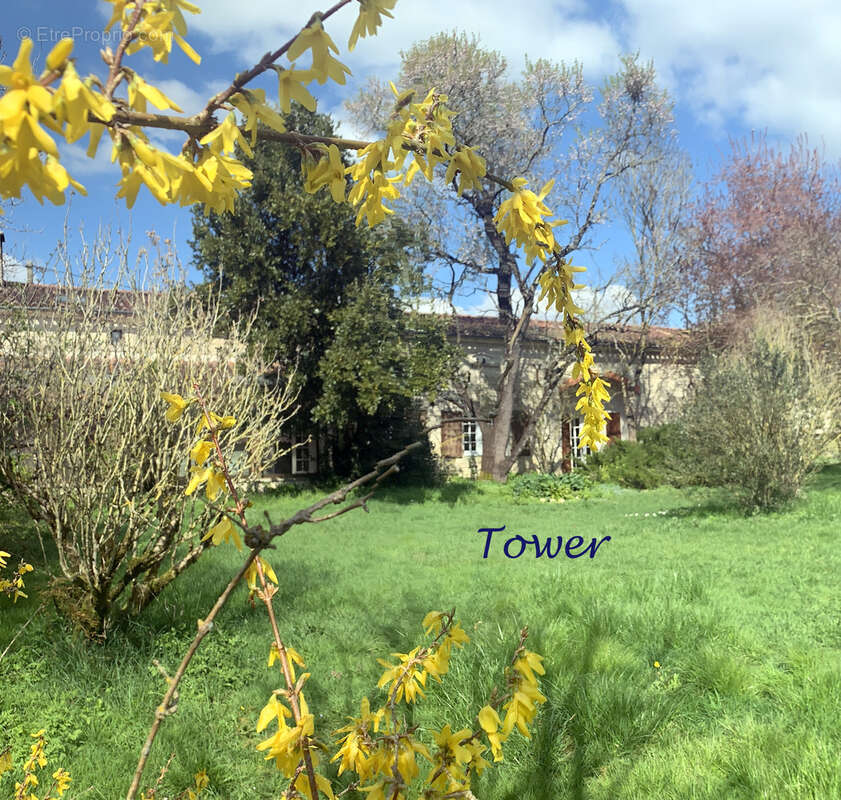 Maison à VERDILLE