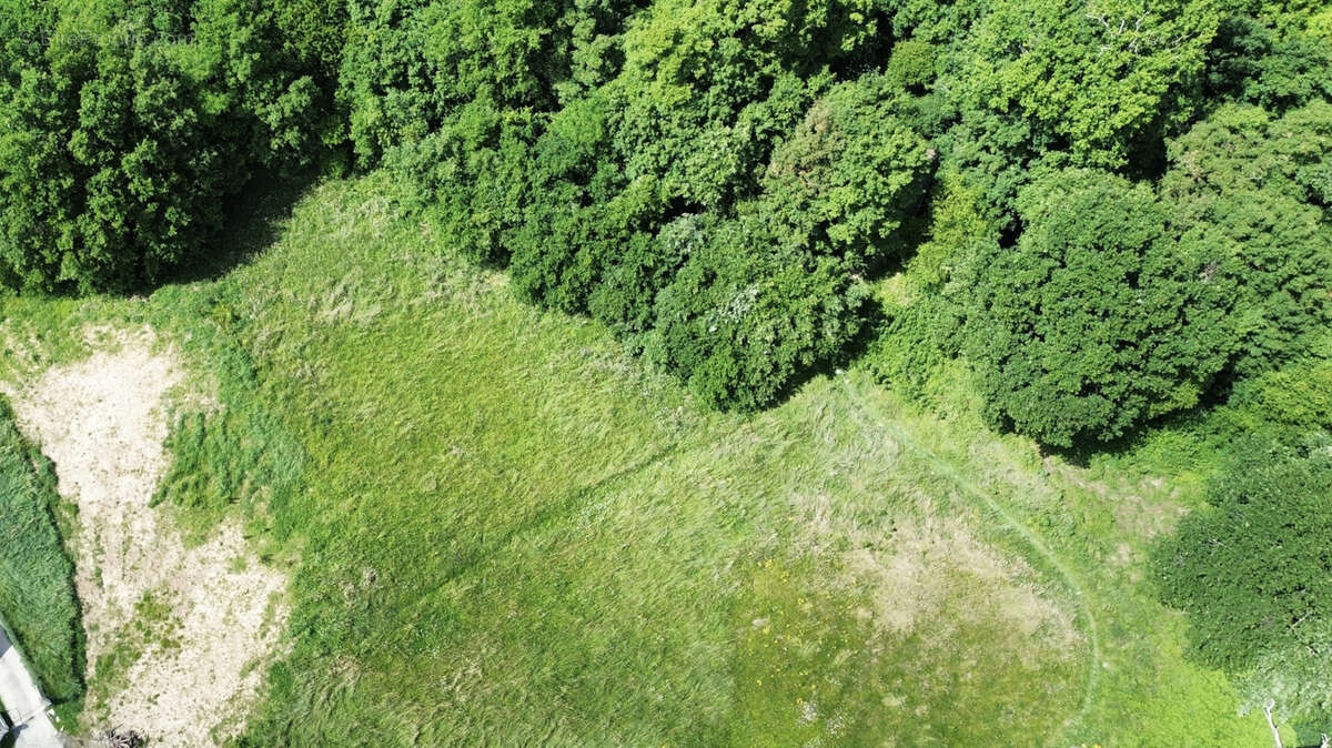 Terrain à BALMA