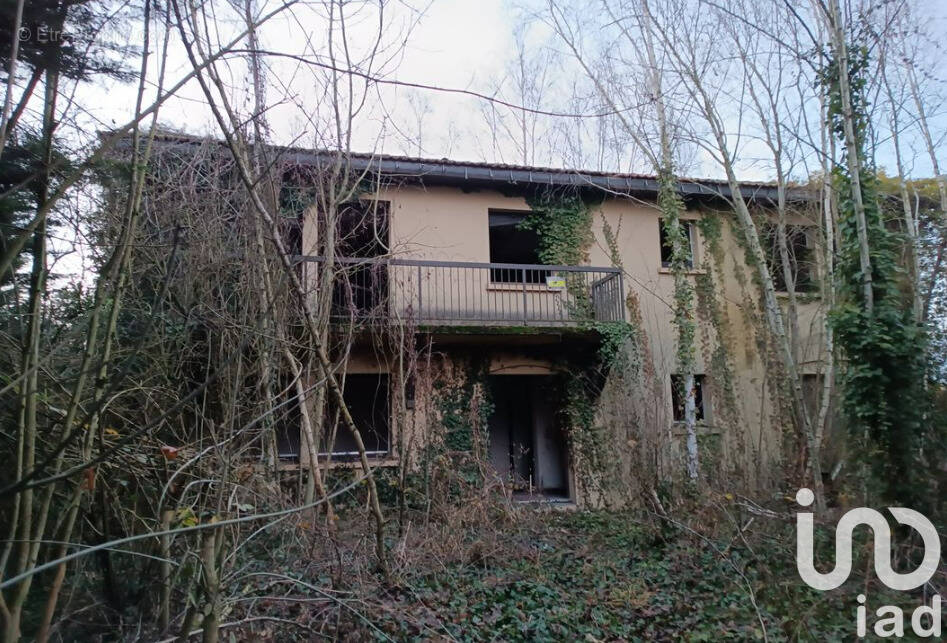 Photo 1 - Appartement à LUNEVILLE