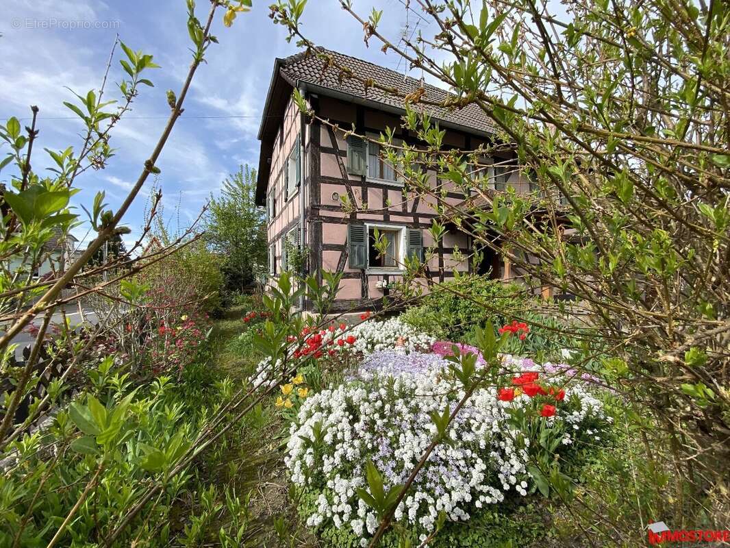 Maison à JETTINGEN