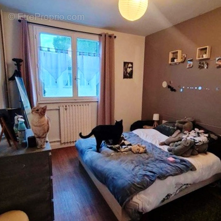 Appartement à CARCASSONNE