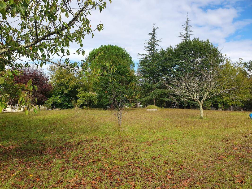 Terrain à TRESSES