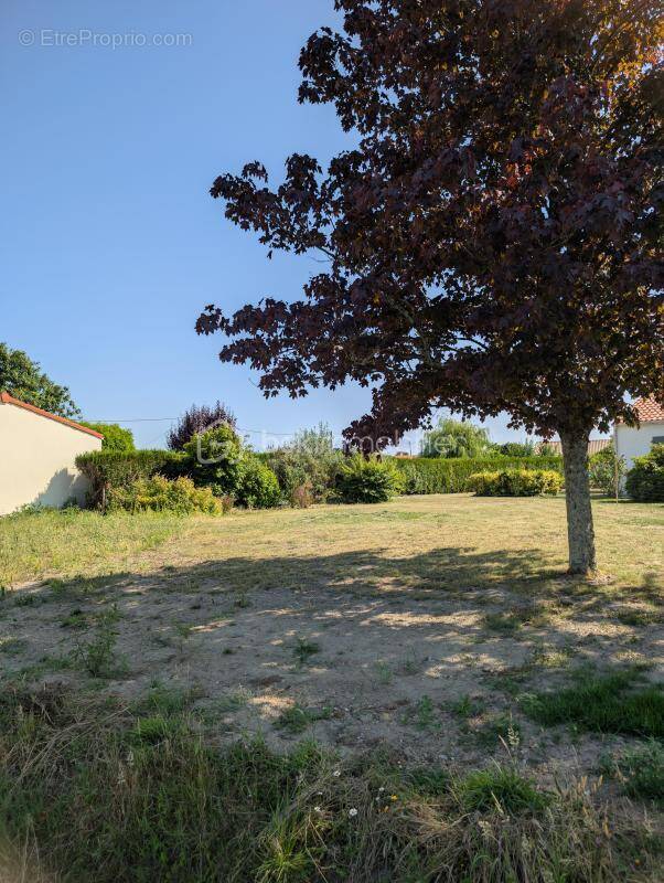 Terrain à SAINT-JULIEN-DE-CONCELLES